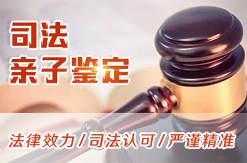 合肥司法亲子鉴定怎么做,合肥司法DNA亲子鉴定要多少钱