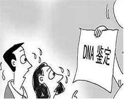 合肥亲子鉴定生物样本有些什么